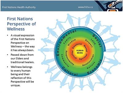 The intersectionality-based policy analysis framework: demonstrating utility through application to the pre-vaccine U.S. COVID-19 policy response